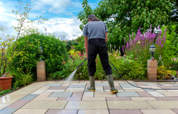 Animal Enclosure Cleaning in West Bountiful, UT